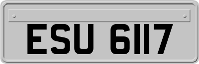 ESU6117