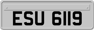 ESU6119