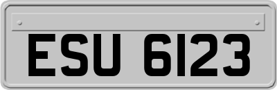 ESU6123