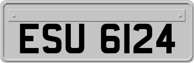 ESU6124