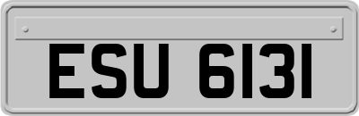 ESU6131