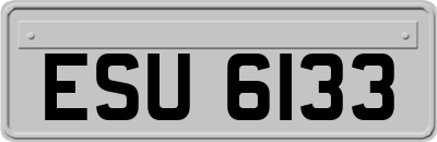 ESU6133