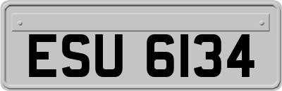 ESU6134