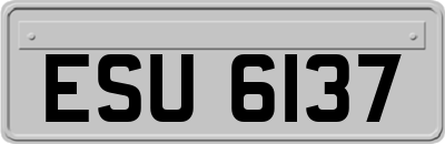 ESU6137