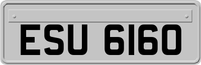 ESU6160
