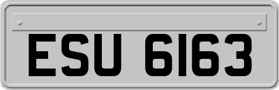 ESU6163