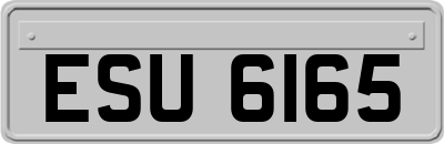 ESU6165