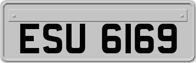 ESU6169