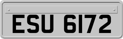 ESU6172
