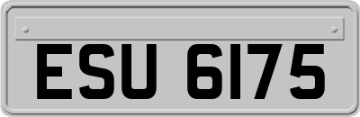 ESU6175