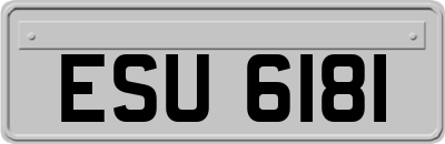 ESU6181