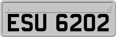 ESU6202