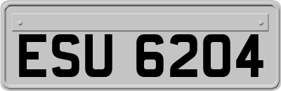 ESU6204