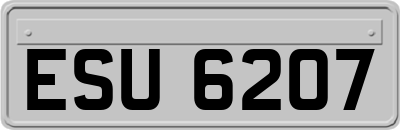 ESU6207