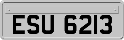 ESU6213