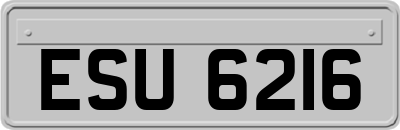 ESU6216