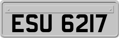 ESU6217