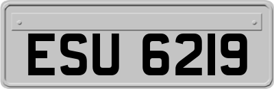 ESU6219