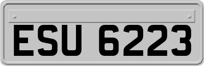 ESU6223