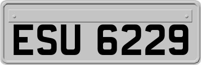 ESU6229