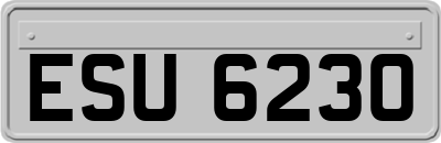 ESU6230