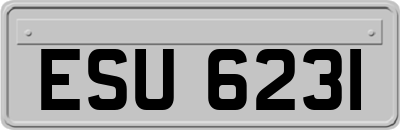ESU6231