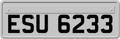 ESU6233