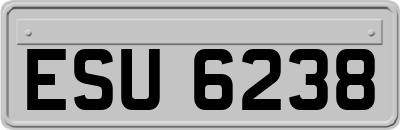 ESU6238