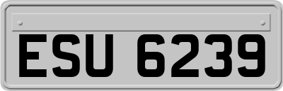 ESU6239