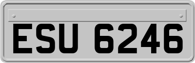 ESU6246