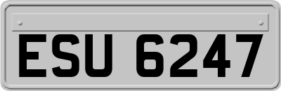 ESU6247