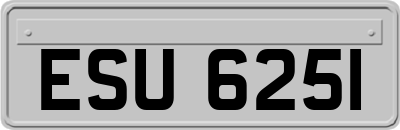 ESU6251