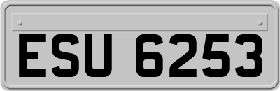 ESU6253