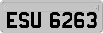 ESU6263