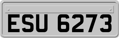 ESU6273