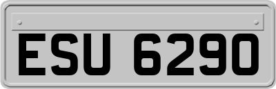 ESU6290