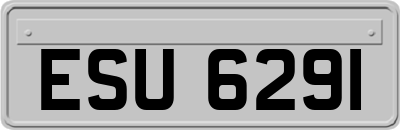 ESU6291