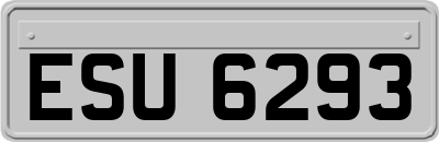 ESU6293