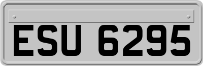 ESU6295