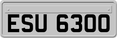 ESU6300