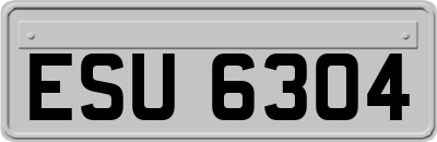ESU6304