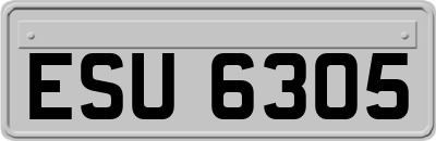 ESU6305