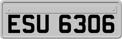 ESU6306
