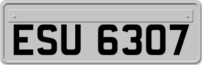 ESU6307