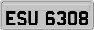 ESU6308