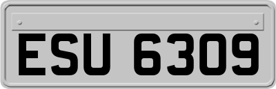 ESU6309