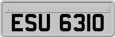 ESU6310