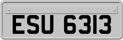 ESU6313