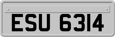 ESU6314