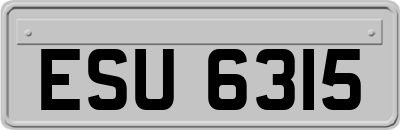 ESU6315